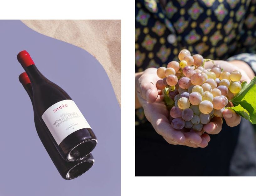 vin terres de sable