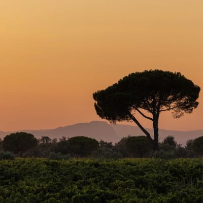 Domaine Terres de Sable