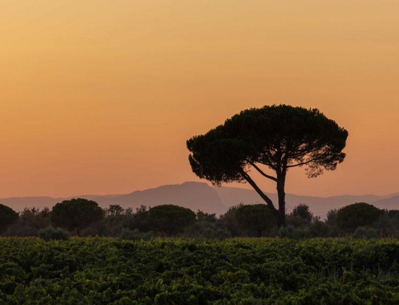 Domaine Terres de Sable