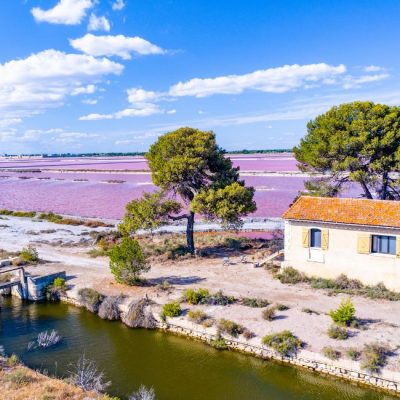 salins du midi