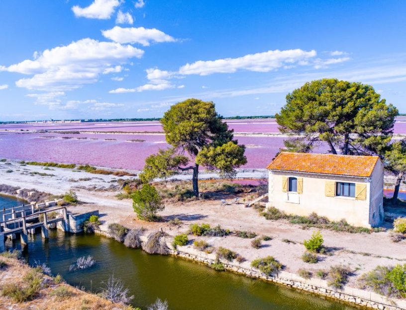 salins du midi