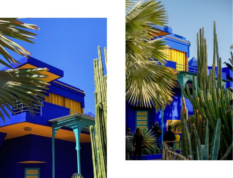 jardin majorelle