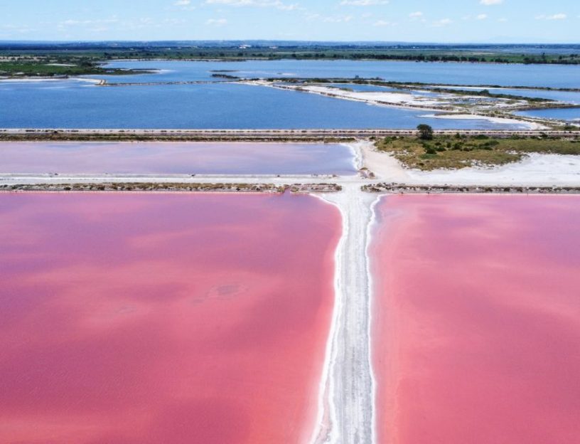 salins du midi
